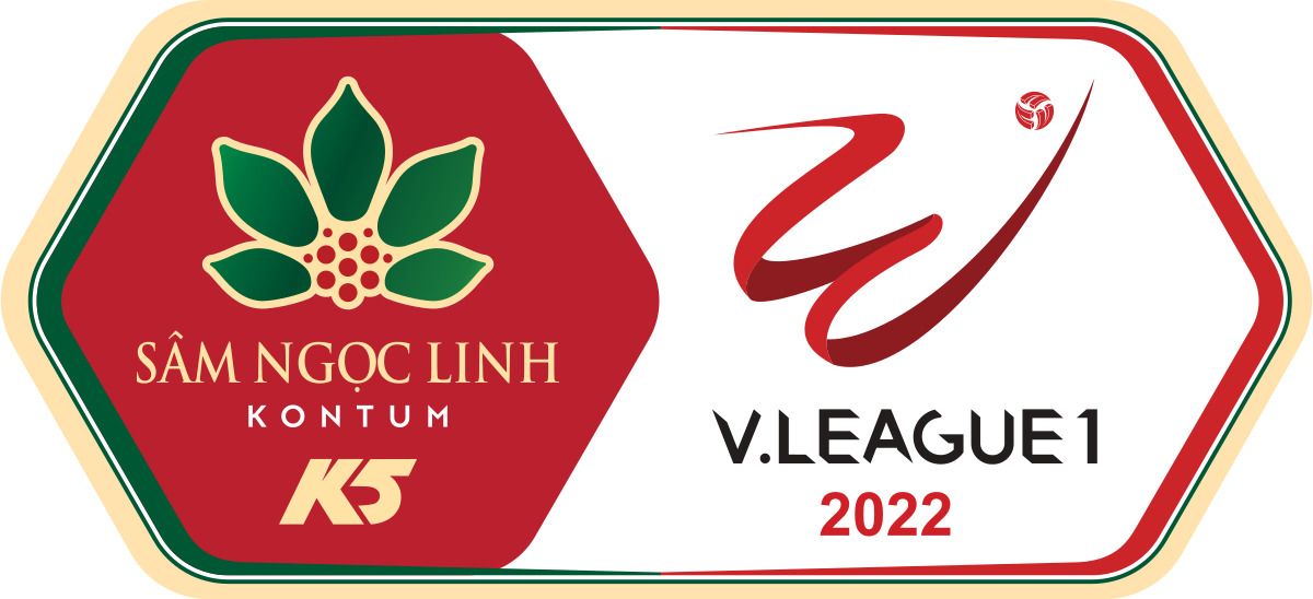 Tin tức giải đấu bóng đá quốc gia V-League 2022