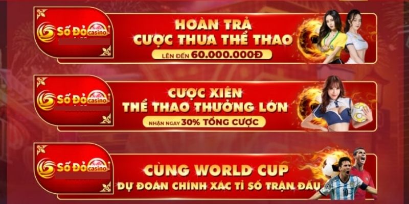 cá cược thể thao