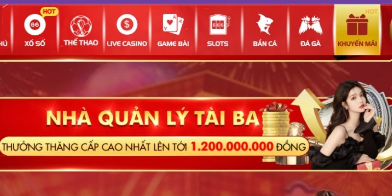 quản lý tài ba Sodo