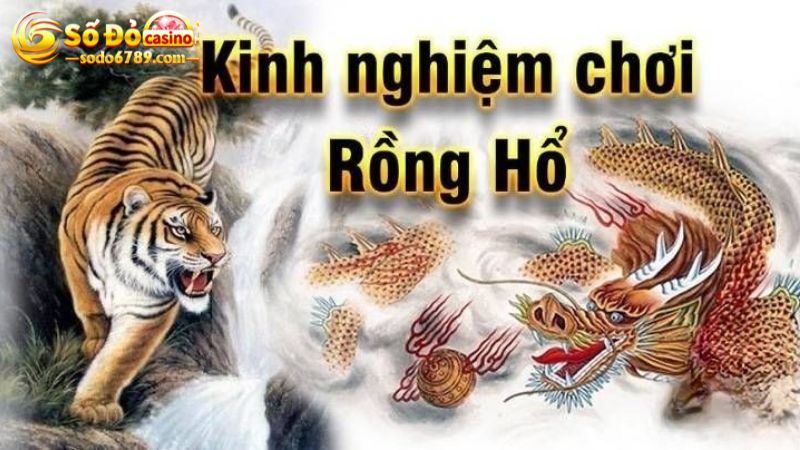 Bật mí mẹo hay chơi game rồng hổ Sodo66 online ăn chắc