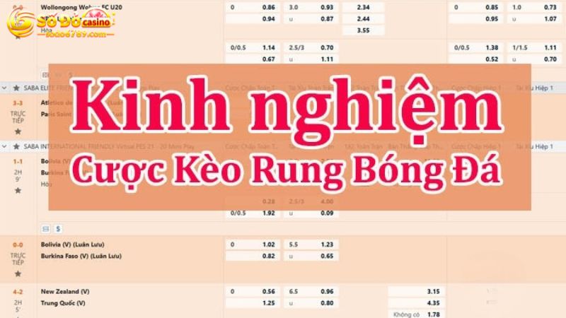 Kinh nghiệm bắt kèo rung chắc thắng tại nhà cái số đỏ