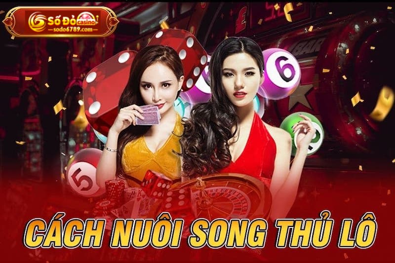 Nuôi song thủ lô