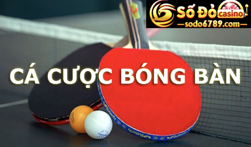 cược bóng bàn tại Sodo66